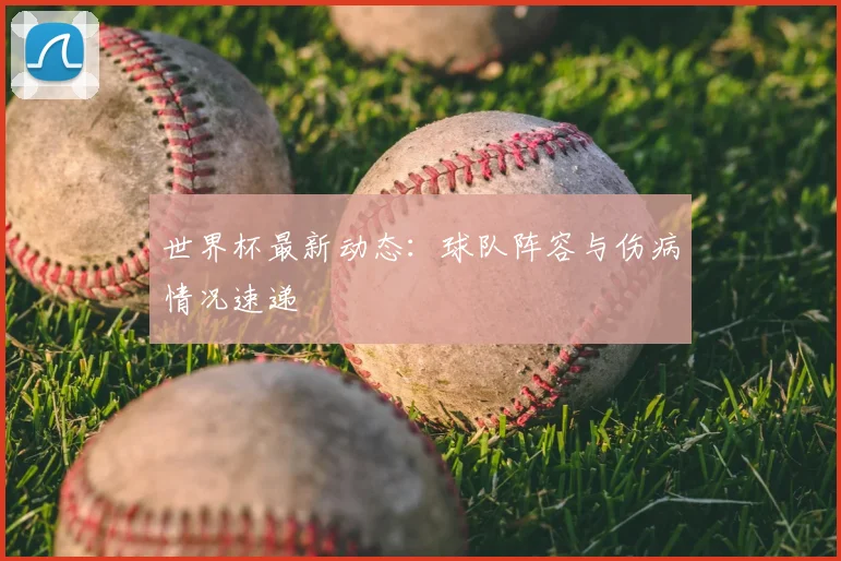 世界杯最新动态：球队阵容与伤病情况速递