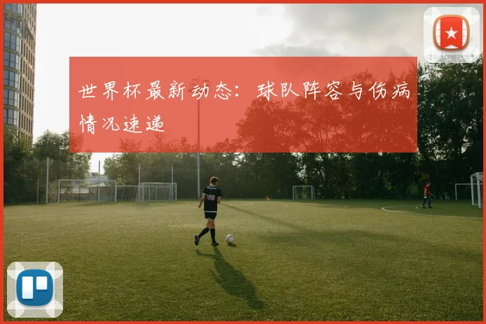 世界杯最新动态:球队阵容与伤病情况速递